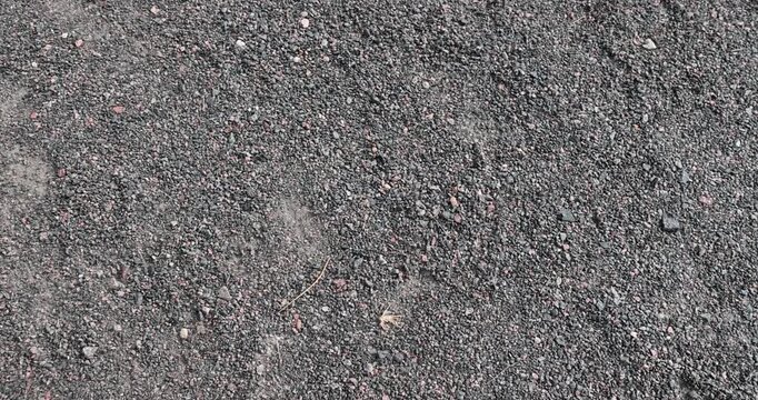 Dark gray gravel on the path, filled gravel covers the surface of the walking area in a country park in summer