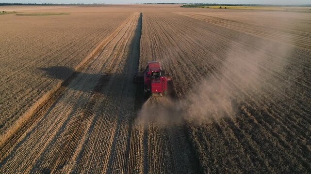 Red combine harvester cutting soybean crop in vast field. Aerial harvest view shows dust rising behind harvester. Combine moves through soybean rows at sunset. Large farm field stretches to horizon.