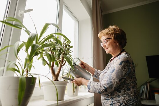Senior woman watering houseplants at home window