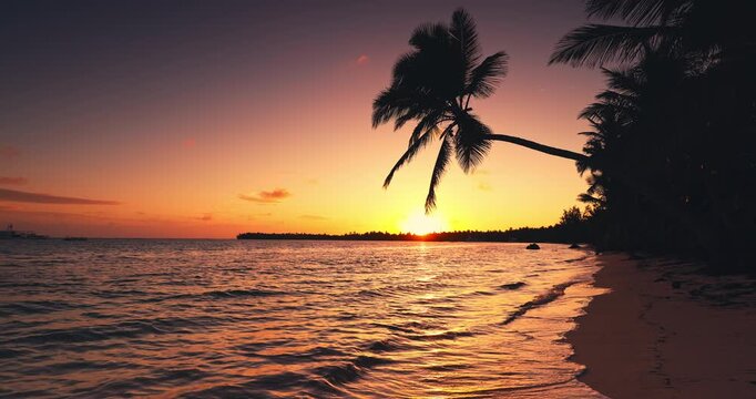 Silhouette of palm tree on tropical beach at golden sunset, tropical sunrise over exotic island beach in Punta Cana, Dominican Republic