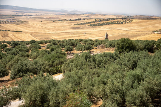 Mausoleum of Atban in an olive grove at the Roman ruins of Dougga, in Northern Tunisia