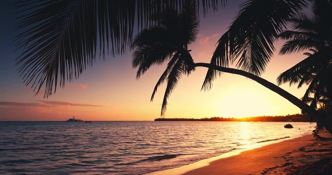 Tropical beach in Punta Cana, Dominican Republic. Exotic palm trees on sandy island in the ocean at sunset