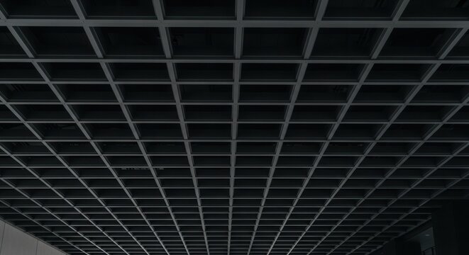 Modern Grid Ceiling Design with Geometric Patterns.