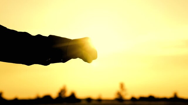 fists silhouette, handshake silhouette, teamwork together, agreement open business, business system, agreement trust insurance business, corporate move, support transaction together, friendship