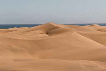 Rolling desert sand dunes under evening light. Golden sand dunes iluminated by soft sunset light, creating a peaceful and drmatic desert landscape. Perfect for travel, nature, adventure, wilderness. © Leandro Valdés