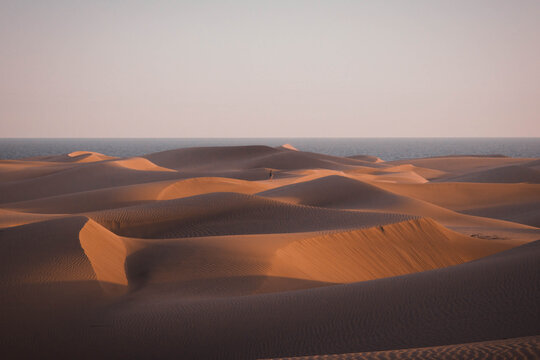 Rolling desert sand dunes under evening light. Golden sand dunes iluminated by soft sunset light, creating a peaceful and drmatic desert landscape. Perfect for travel, nature, adventure, wilderness.