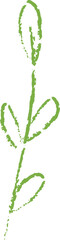 Fototapeta premium Leaf Sprout Crayon Sketch