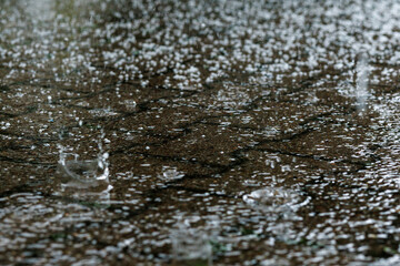 Fototapeta premium hailstones falling during severe summer storm with splashing raindrops on wet pavement