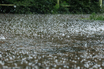 Fototapeta premium hailstones covering flooded ground during intense summer thunderstorm and heavy rain