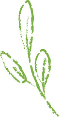 Obraz premium Leaf Sprig Sketch Crayon Style