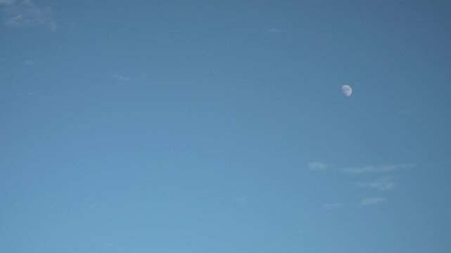 A static low-angle shot captures a clear half moon visible in a bright daytime blue sky. Perfect for weather forecasts, astronomy documentaries, or serene cinematic transitions.