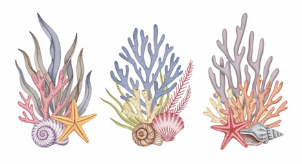 Colorful seaweed, starfish, and seashells vector set, ocean coral reef elements, marine life illustrations, aquatic plants © Mecklenburglaan