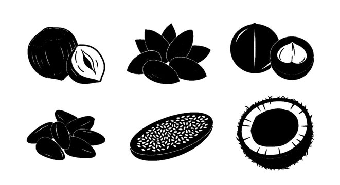 Minimal black silhouette icon, simple flat vector, bold black shape, no, no shading set of various nuts and seeds icons including hazelnut, almond and coconut on a, flat icon style