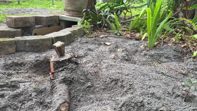 Man Using Sledgehammer and Wedge to Split Tree Stump