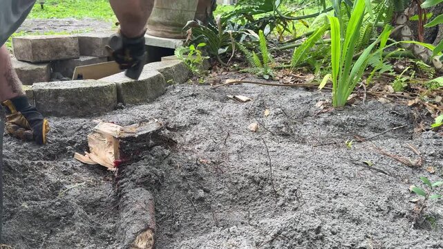 Man Using Hammer and Wedge to Split Tree Stump in Backyard