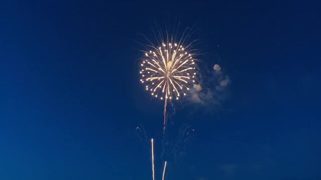 Single golden firework burst in dark night sky.