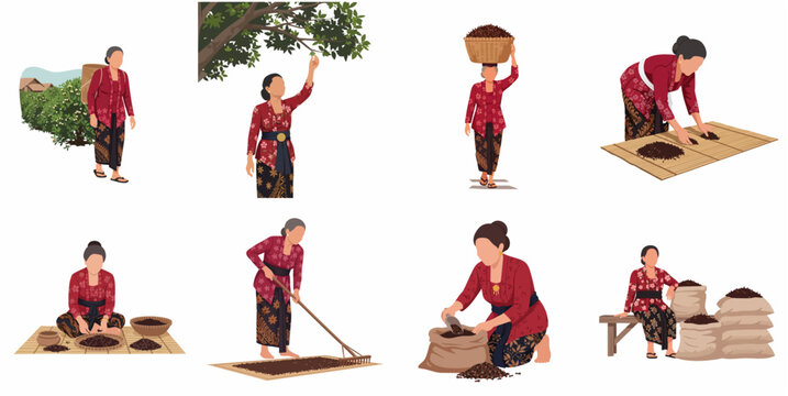 Vector set of Indonesian women in traditional kebaya and batik processing coffee beans, including harvesting, drying, sorting, and packing in a rural farm setting.