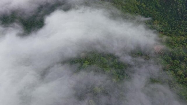 Aerial view of a sea of clouds drifting over lush green forested hills at sunrise, Kala Pahar, Sylhet, Bangladesh