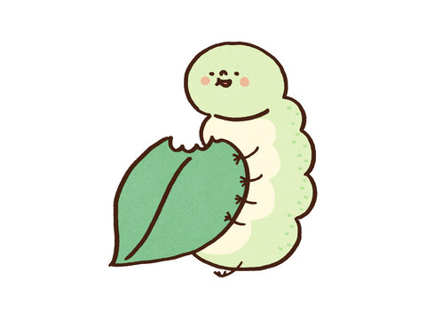 Green caterpillar happily munching on a fresh leaf, big appetite or nature growth concept