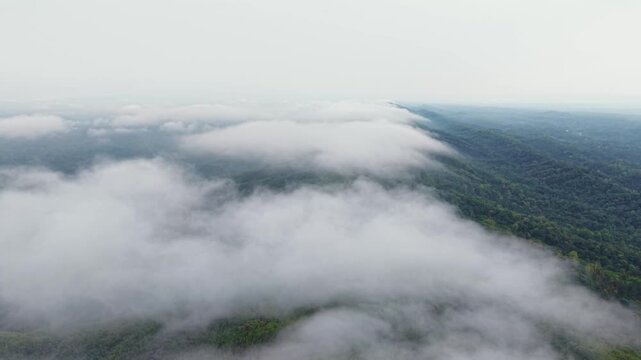 Aerial view of a sea of clouds drifting over lush green forested hills at sunrise, Kala Pahar, Sylhet, Bangladesh