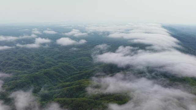 Aerial view of a sea of clouds drifting over lush green forested hills at sunrise, Kala Pahar, Sylhet, Bangladesh