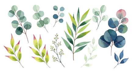 Watercolor eucalyptus leaves and botanical branches vector set, elegant green foliage elements, hand painted floral greenery for wedding invitations © Stephen