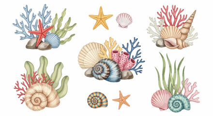 Watercolor seashell and coral reef collection, nautical marine life illustrations, underwater sea elements for summer beach decor and invitations © Stephen