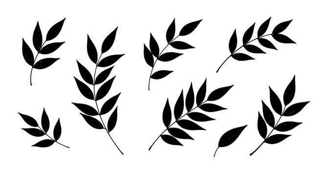 Minimalist black leaf silhouettes, botanical branch vector set, elegant hand drawn foliage elements for wedding invitations and logo design