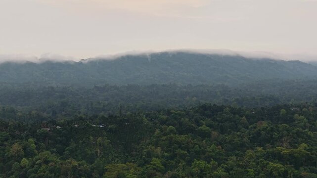 Aerial view of a sea of clouds drifting over lush green forested hills at sunrise, Kala Pahar, Sylhet, Bangladesh