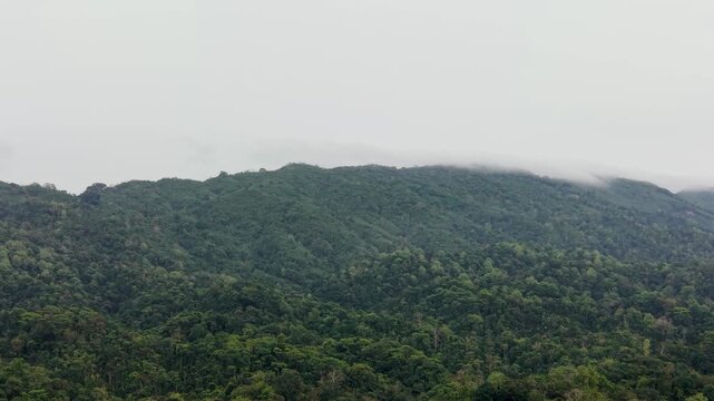 Aerial view of a sea of clouds drifting over lush green forested hills at sunrise, Kala Pahar, Sylhet, Bangladesh