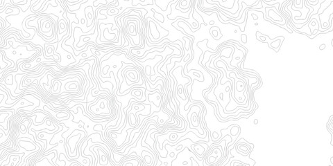 Obraz premium Abstract grid landscape topography white background. white and black relief line wireframe isoline location diagram world map texture design. 