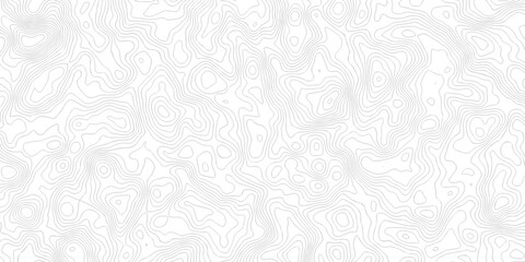Abstract grid landscape topography white background. white and black relief line wireframe isoline location diagram world map texture design.   © MOHAMMAD
