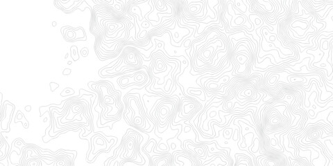 Abstract grid landscape topography white background. white and black relief line wireframe isoline location diagram world map texture design.   © MOHAMMAD