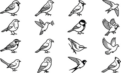Set of various hand drawn bird illustrations in black and white. © choco