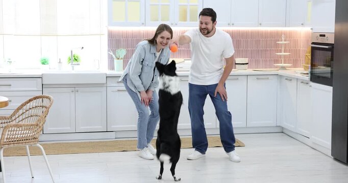 Happy couple playing with their dog at home