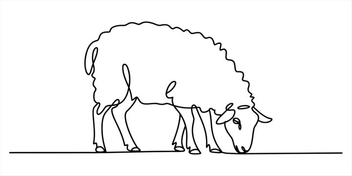 Continuous single line drawing of a cute fluffy sheep eating grass