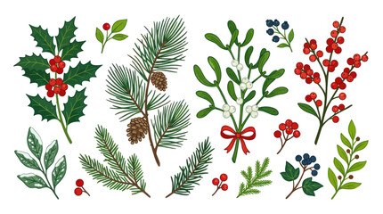 Christmas Botanical Elements: Holly, Pine, Mistletoe, Berries - Festive Decor © hidayati