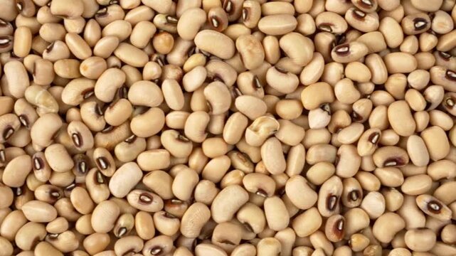 Extreme close up tracking shot revealing the detailed beige and black texture of many dried black eyed beans