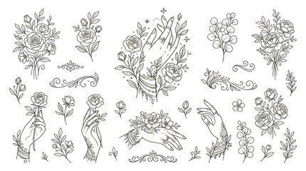 Fototapeta premium Bohemian Floral Hand Illustrations - Delicate Line Art Elements