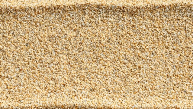 Close-up of Fine Sand Texture