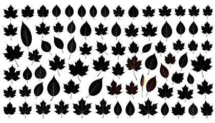 Fototapeta premium Black leaf silhouettes, varying in size, shape, and slight color variations of brown, create a visually appealing, scattered pattern on a white backdrop