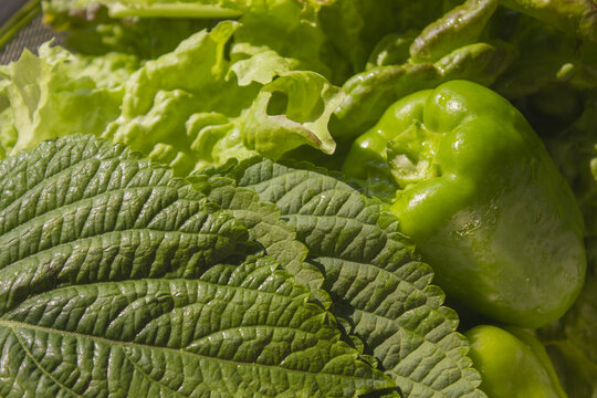 It is a close-up of fresh vegetables.