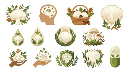 Collection of Lion's Mane mushroom illustrations, showcasing its health benefits and natural beauty. © tr