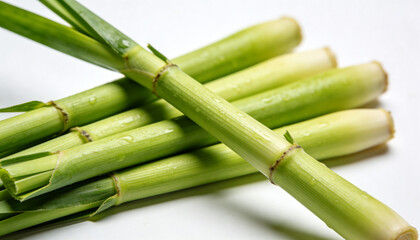 Fototapeta premium lemongrass stalks, herbal tea ingredient, healthy organic agriculture food, asian cuisine, stalk, spice, plant