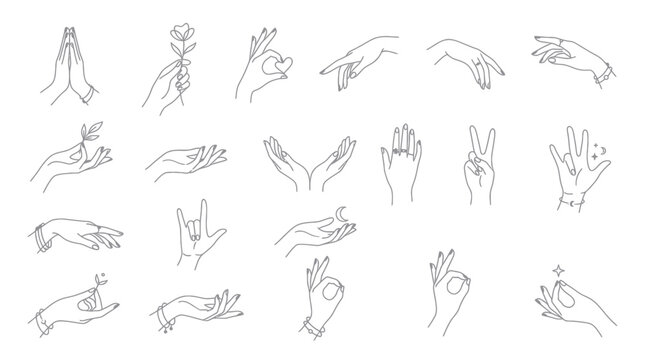 Line Art Hands Gestures and Poses Collection - Elegant Female Hands Illustrations