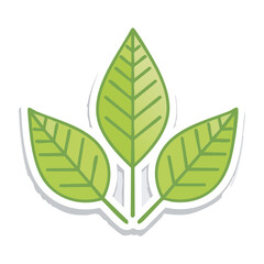 Fototapeta premium Three Green Leaves Icon on Transparent Background