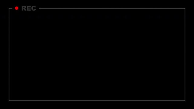 Recording Icon Animation With Border Full Screen Clean White Loop Transparent Background