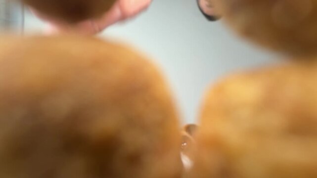 The owner pours dry food for his Jack Russell Terrier. View from below.