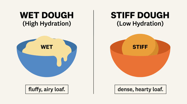 Bread Hydration Levels Comparison Wet vs Stiff Dough