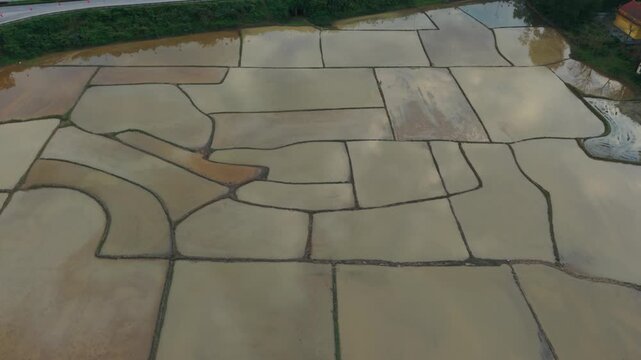 Rice Field Contours. Curved Rice Paddies And Shallow Water Tones From Drone Perspective. Topdown Perspective Reveals Intricate Organic Patterns Of Farmland And Water In Rural Vietnam